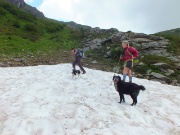 L’ANELLO DELLA MANINA (1821 m.) con SASNA (2229 m.) da Lizzola l’11 luglio 2013  - FOTOGALLERY